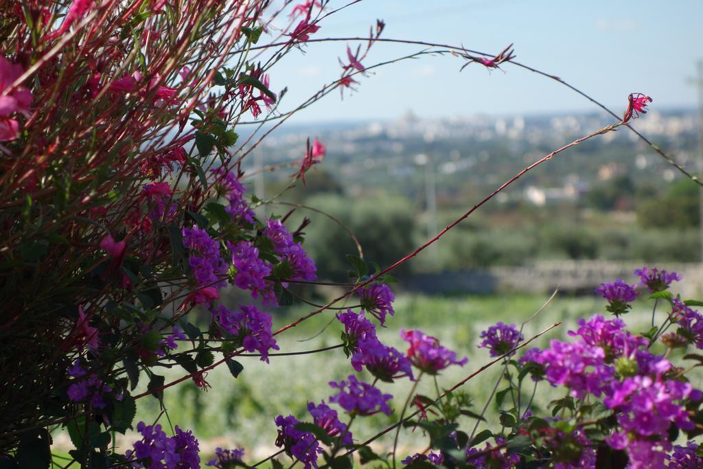 Masseria Serralta Locorotondo Luaran gambar